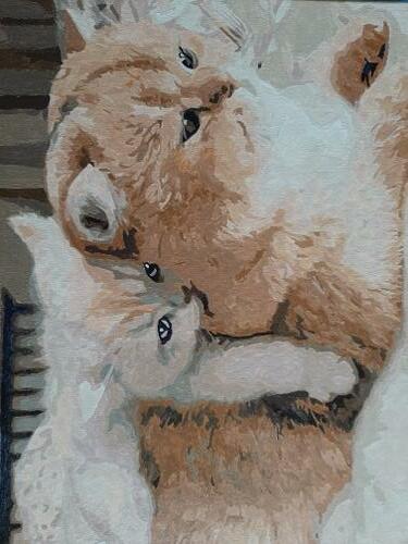 Фотографии готовых работ картин по номерам и алмазной мозаики в интернет-магазине  Фотографии готовых работ картин по номерам и алмазной мозаики