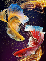 Желтая и красная рыбки