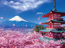 Без бренда «2KSB-7277» в Костроме