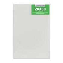 Без бренда «Коробка 80 шт.: Холст Две картинки на подрамнике 20X30» в Костроме