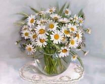 Без бренда «Букет ромашек с колосками в круглой вазе (20шт)» в Костроме