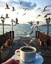 Без бренда «Кофе с видом на чаек (20шт)» в Костроме