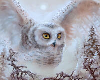 Без бренда «Полярная сова над лесом (20шт)» в Костроме