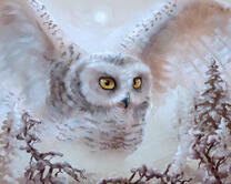 Без бренда «Полярная сова над лесом (20шт)» в Костроме