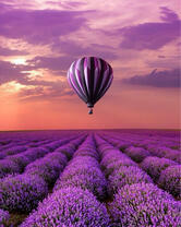 Без бренда «BOX20-2KMB-4091» в Костроме