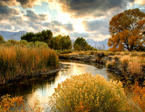 Без бренда «BOX25-GX29355» в Костроме