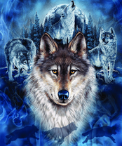 Без бренда «BOX40-2KXSB-0687» в Костроме