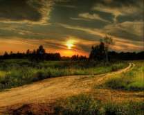 Без бренда «Проселочная дорога на закате» в Костроме