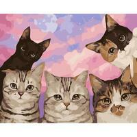 Без бренда «Такие разные котики» в Костроме в интернет-магазине  Без бренда «Такие разные котики» в Костроме