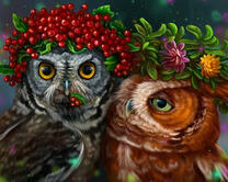 Сычи с венками на голове