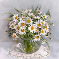 Без бренда «Букет свежих ромашек» в Костроме