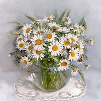 Без бренда «Букет свежих ромашек» в Костроме