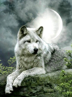 Без бренда «Коробка 25 шт. картин по номерам BOX25-GX21058» в Костроме в интернет-магазине  Без бренда «Коробка 25 шт. картин по номерам BOX25-GX21058» в Костроме