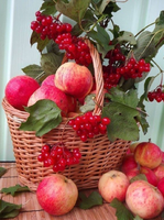 Без бренда «Коробка 25 шт. картин по номерам BOX25-GX5174» в Костроме