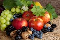 Без бренда «Фрукты, ягоды и орехи» в Костроме в интернет-магазине Без бренда «Фрукты, ягоды и орехи» в Костроме