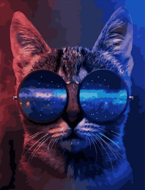 Картина по номерам 40x50 Кот со вселенной в очках
