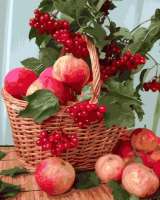 Без бренда «Плетёная корзина с калиной и яблоками» в Костроме