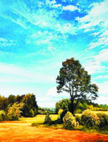 Без бренда «Осенний пейзаж с голубым небом» в Костроме в интернет-магазине  Без бренда «Осенний пейзаж с голубым небом» в Костроме