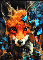 Без бренда «Лиса и синие бабочки» в Костроме