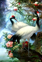 Без бренда «Коробка 25 шт. картин по номерам BOX25-GX29399» в Костроме в интернет-магазине  Без бренда «Коробка 25 шт. картин по номерам BOX25-GX29399» в Костроме