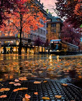 Осень в большом городе