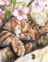 Без бренда «Волосатый котик спит на ветви яблони» в Костроме